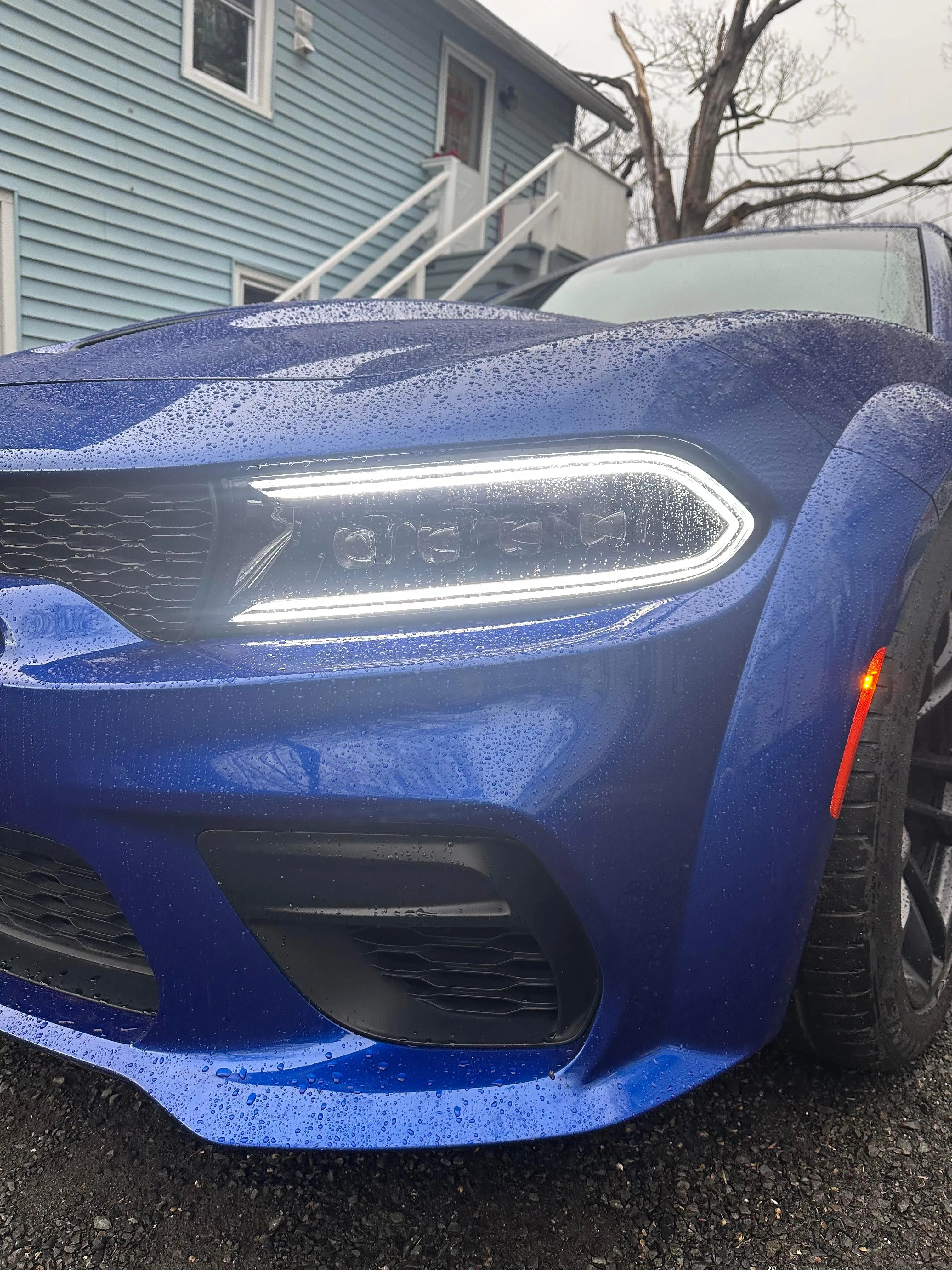 Alpharex 15-23 Dodge Charger NOVA-Series LED Projector Headlights Black