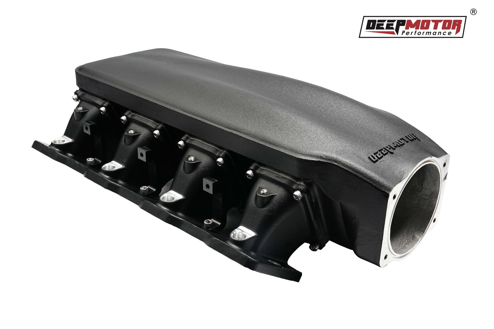 Deepmotor LS1 LS2 LS6 102mm Casting Bolted Intake Manifold with Fuel Rail Black