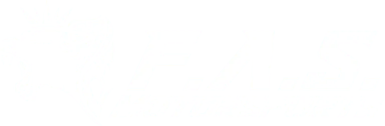 FAS Motorsports IHI Supercharger Silencer Bushings