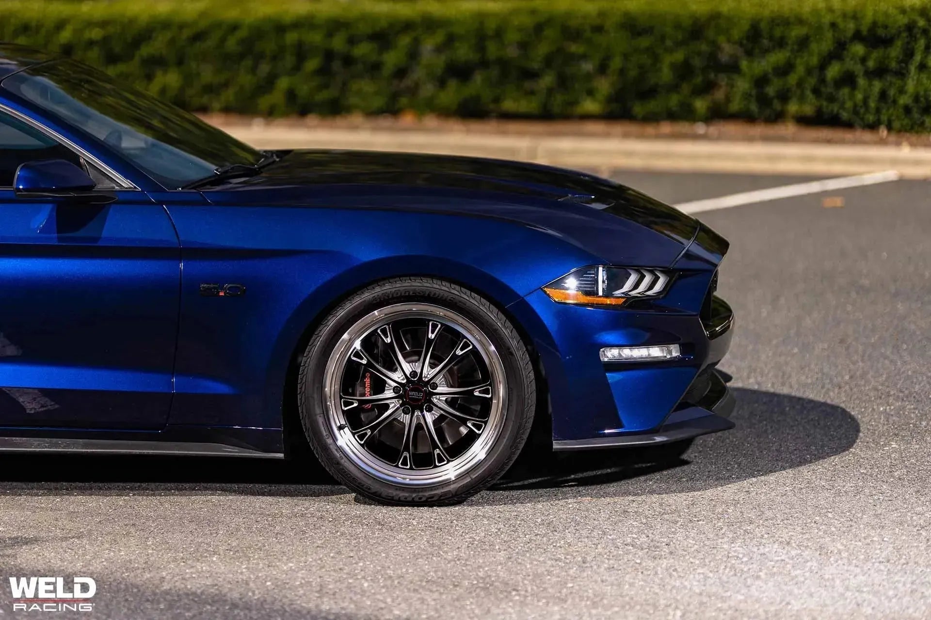 Weld BELMONT DRAG S157 S550 & S650 Ford Mustang Fitment