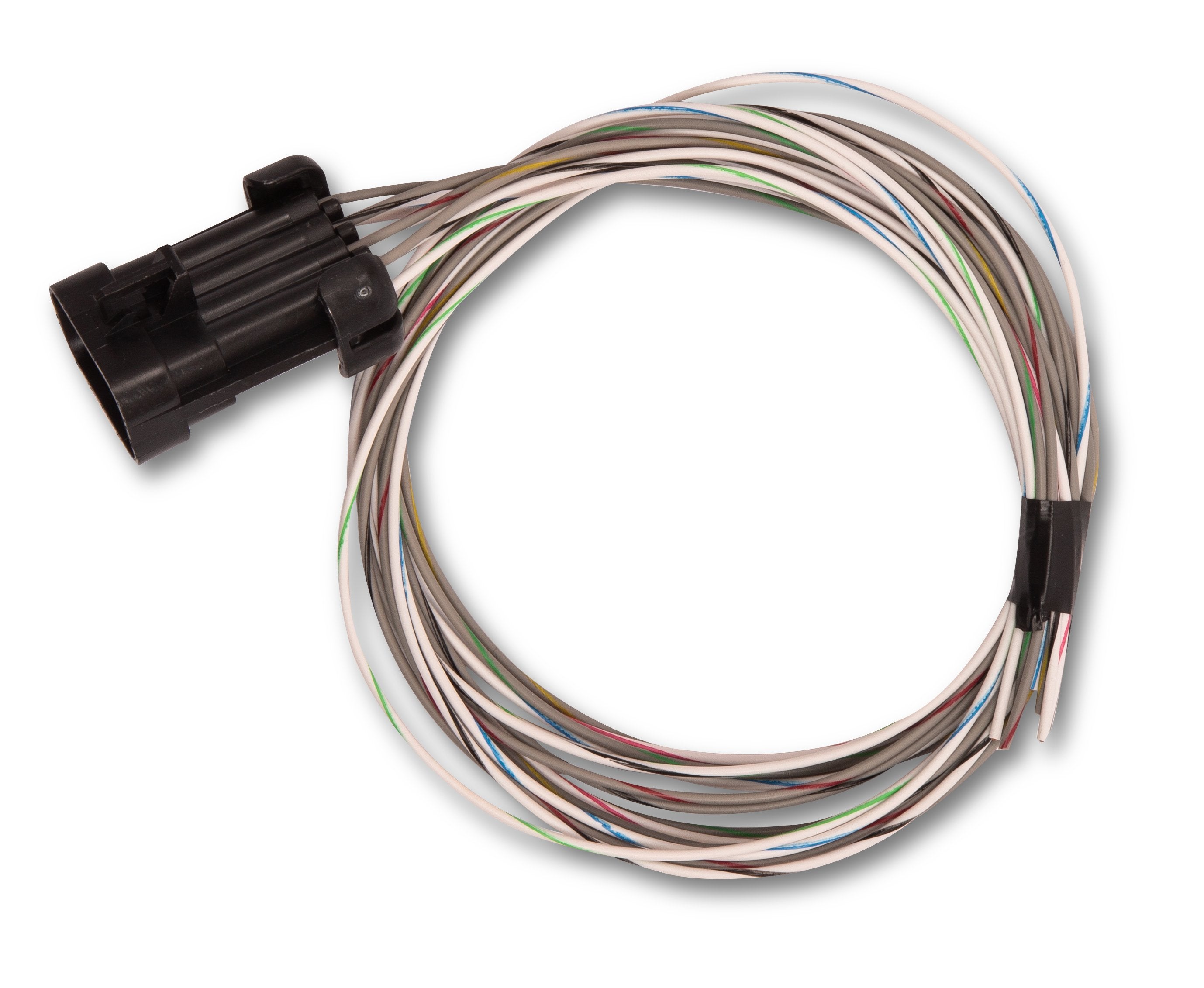 Holley EFI Terminator X MAX - LS1/LS6 (550-919)