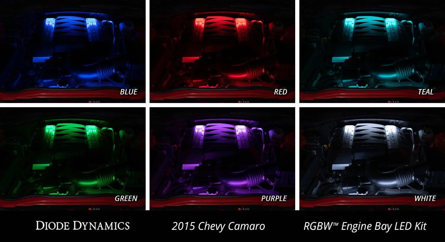 Diode Dynamics RGBW Multicolor Engine Bay LED Kit