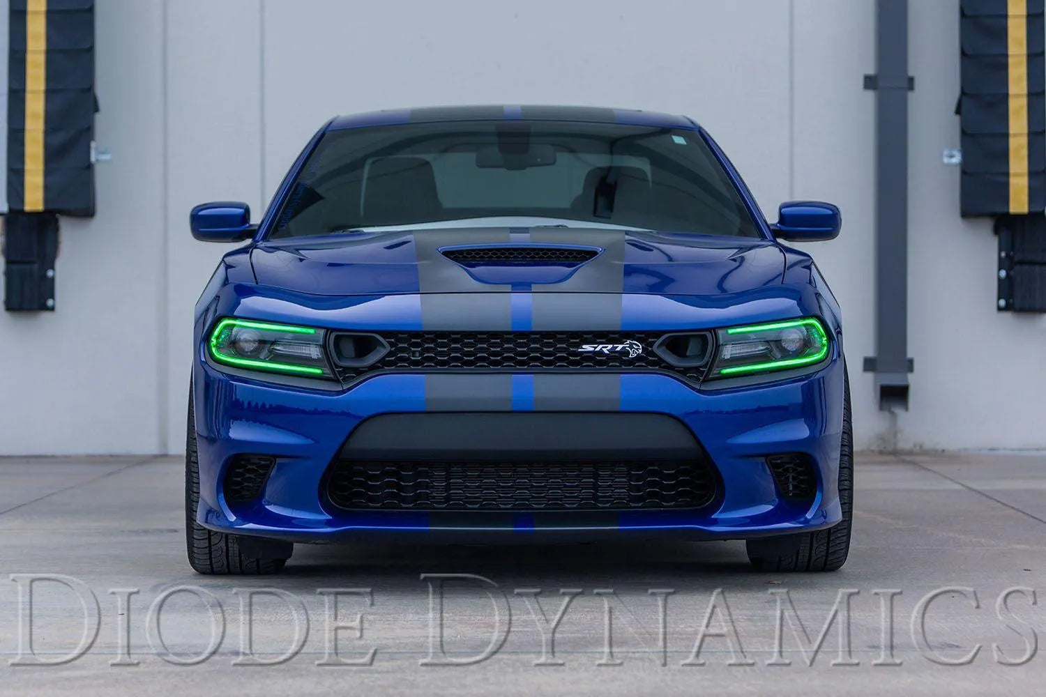 Diode Dynamics 2019-2023 Dodge Charger Multicolor LED Boards