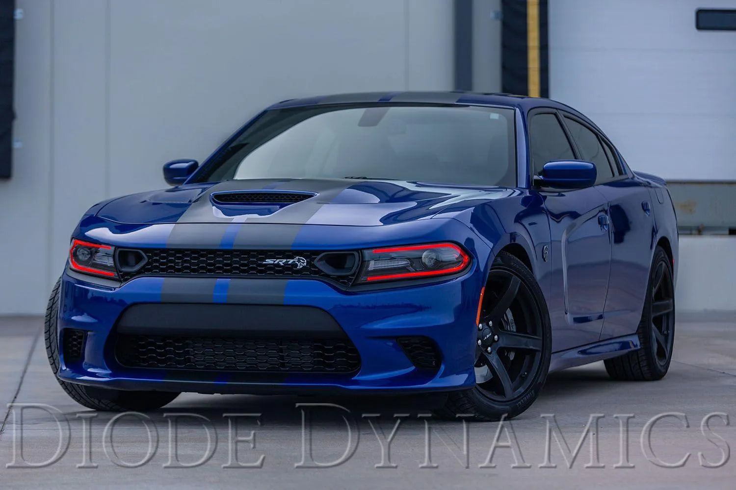 Diode Dynamics 2019-2023 Dodge Charger Multicolor LED Boards