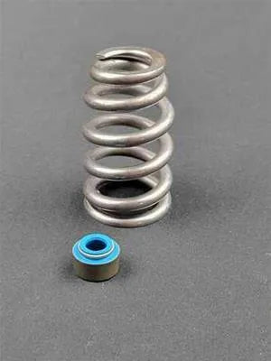 Cam Motion .650" Valve Spring Kit for 5.7 Eagle (Late 2009 up) Gen 3 Hemi
