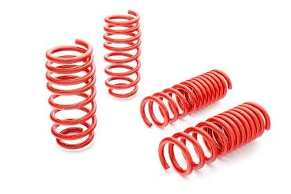11-23 Dodge Charger/Challenger/300 Scatpack/ Hellcat Lowering Package Budget Friendly