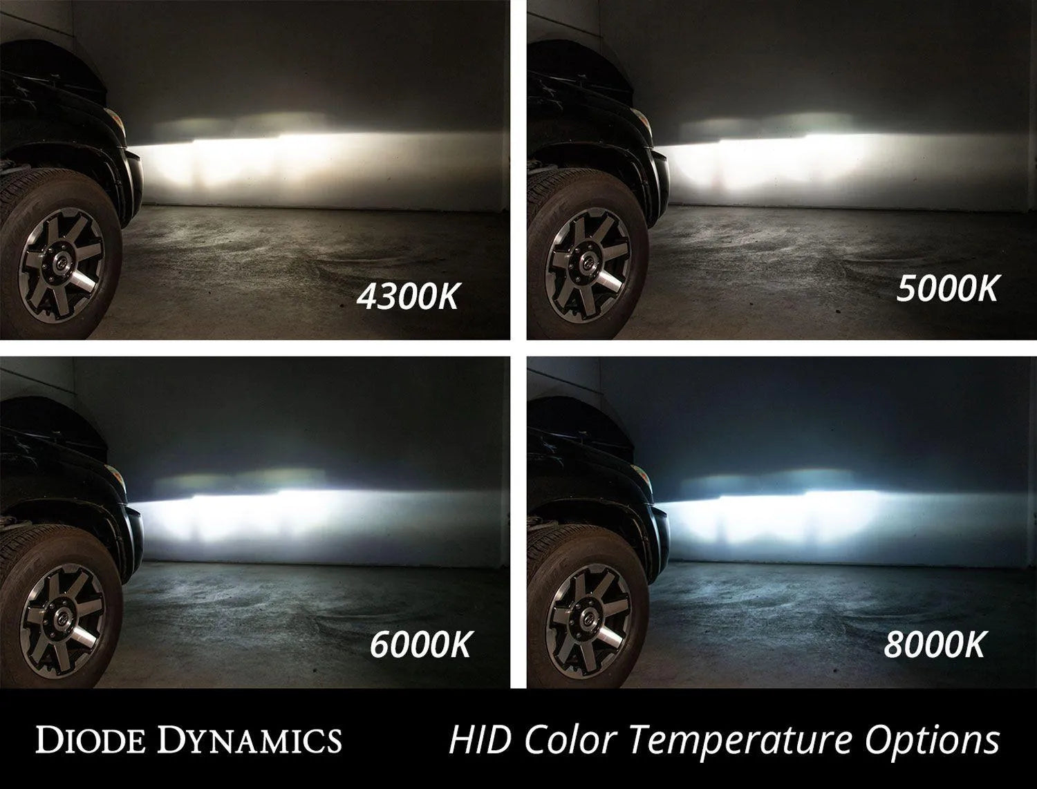 Diode Dynamics Replacement OEM HID Bulbs for 2015-2023 Dodge Charger / Challenger (pair)
