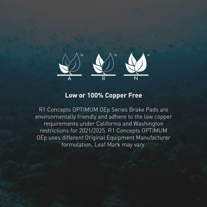 R1 Concepts 2015-2020 Dodge Charger / Challenger 6 Piston Carbon GeoSpec Coated Front Pads & Rotors