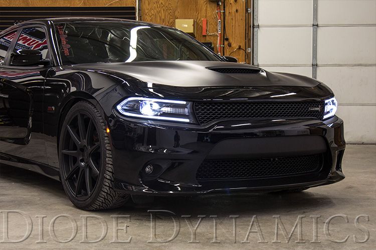 Diode Dynamics 2015-2023 Dodge Charger & Chrysler 300 LED Headlights Pair with AntiFlicker Modules