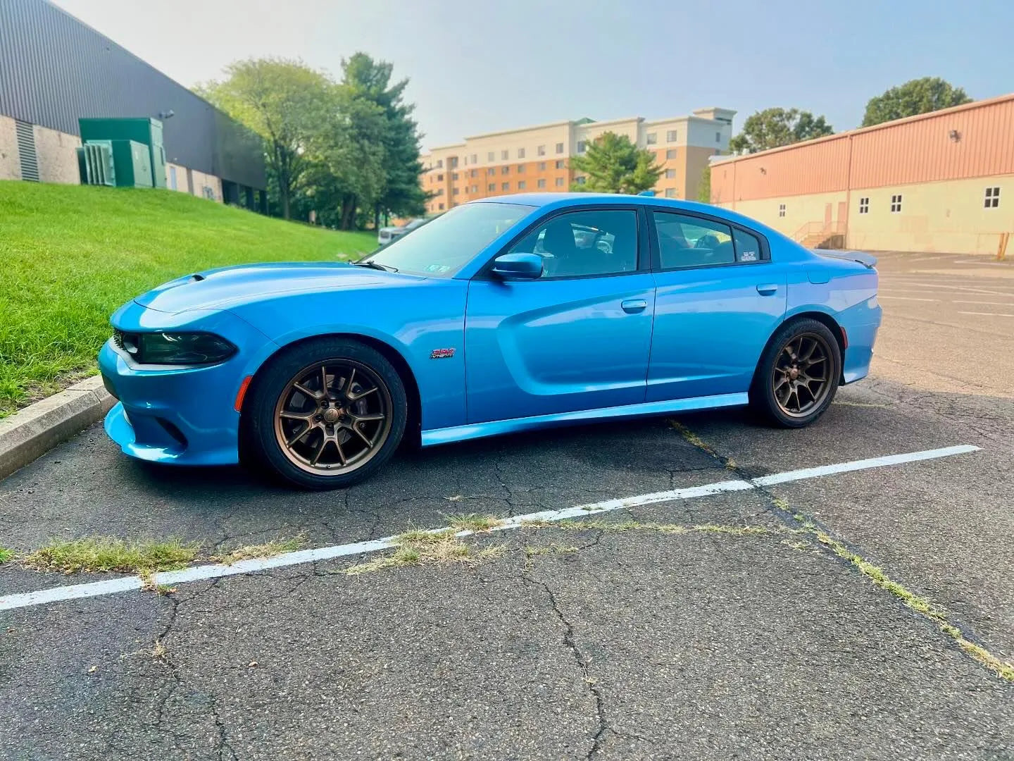   17センチ　ブルーブルーテッド 4Play OE Wheels DG21 Satin Bronze Wheel