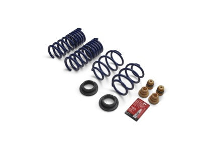 Ford Racing 2024 Mustang GT Coupe (w/Passive Suspension) Track Lowering Spring Kit