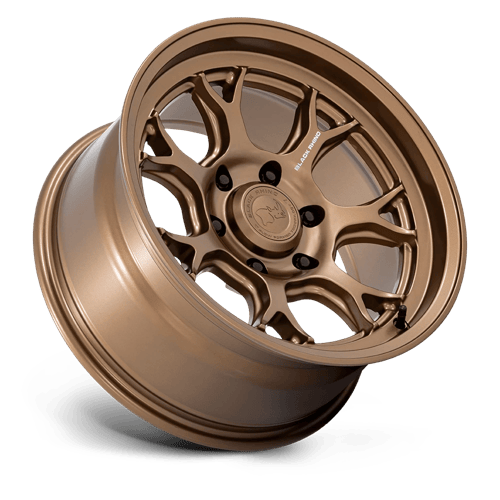 Black Rhino ETOSHA Matte Bronze 6x139.7 Wheels - product view 2