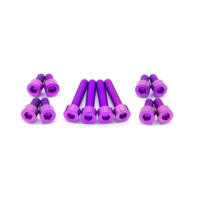 Titanium Hardware Coil Pack Cover Kit - RB25 Engine