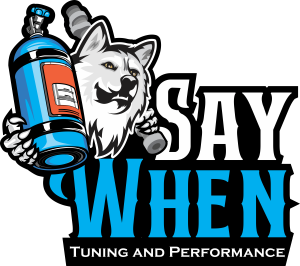 Say When Tuning & Performance