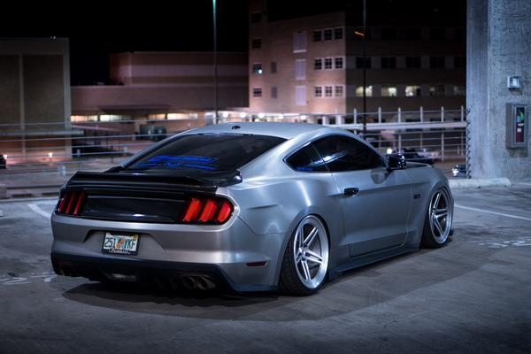 Anderson Composites 2015 - 2019 MUSTANG DOUBLE SIDED CARBON FIBER TYPE-ST DECKLID WITH INTEGRATED SPOILER