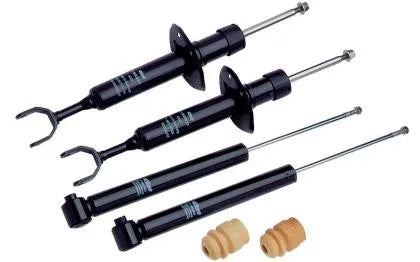 Eibach Pro-Damper Kit for 09-10 Dodge Challenger / 06-10 Charger / 05-08 Magnum