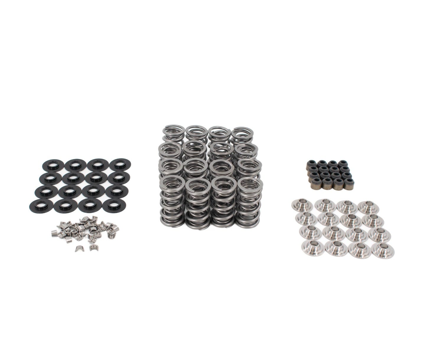 BTR LS9 .685" LIFT VALVE SPRING KIT - SK702/0560/LS9