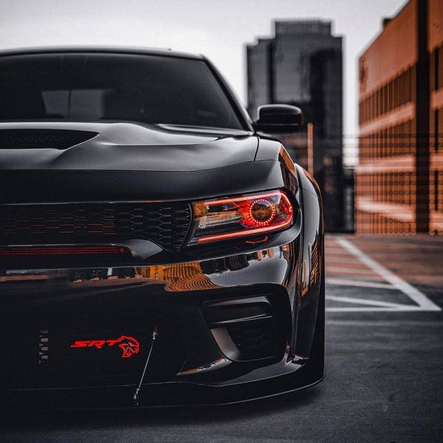 LIGHTING TRENDZ 2015+ DODGE CHARGER DRL BOARDS