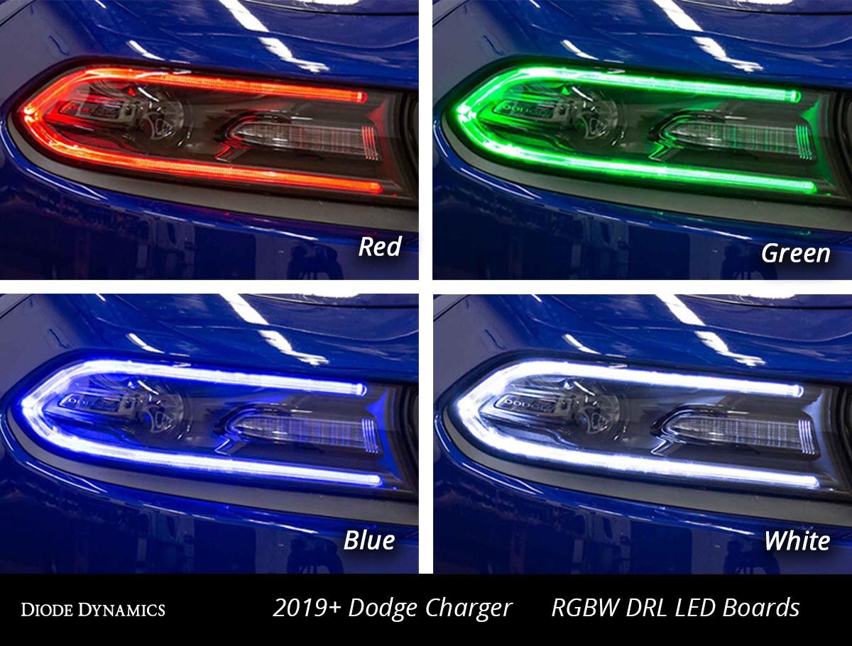 Diode Dynamics 2019-2023 Dodge Charger Multicolor LED Boards