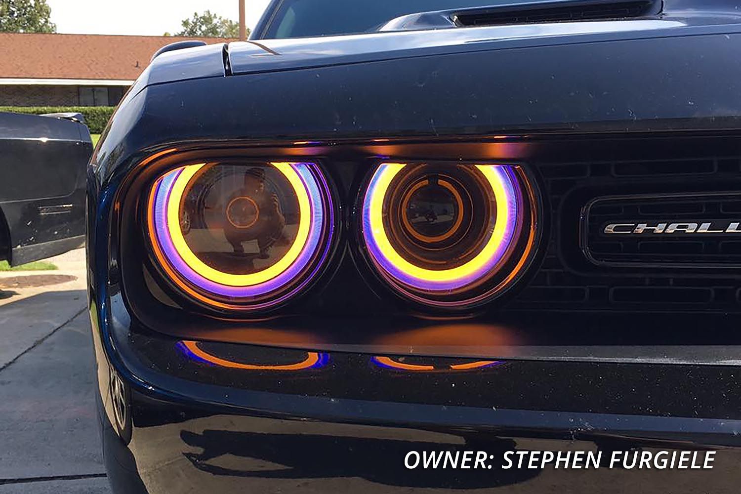 DIODE DYNAMICS HD LED Halos for 2015-2021 Dodge Challenger (FOUR)