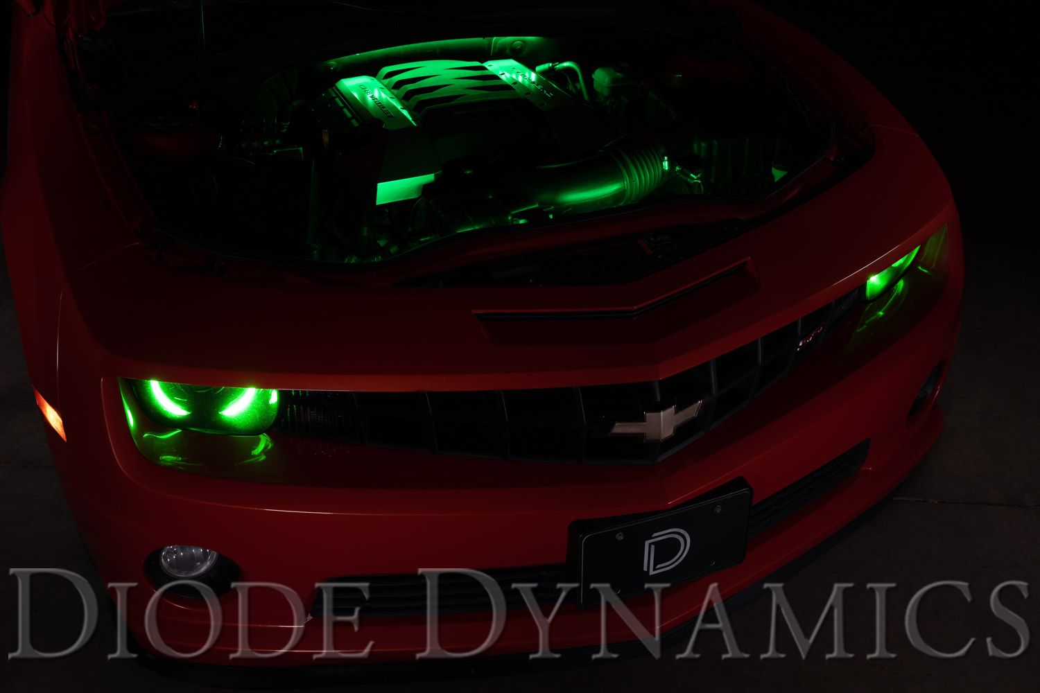 Diode Dynamics RGBW Multicolor Engine Bay LED Kit
