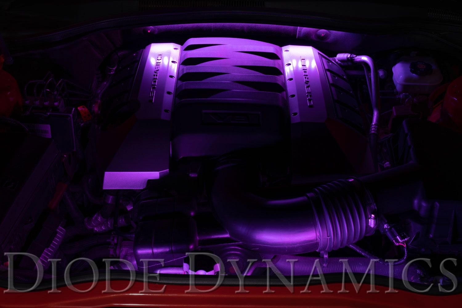 Diode Dynamics RGBW Multicolor Engine Bay LED Kit