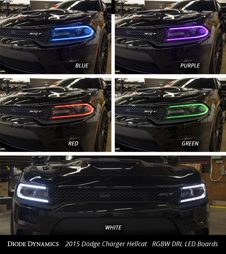 Diode Dynamics 2015-2018 Dodge Charger Multicolor LED Boards